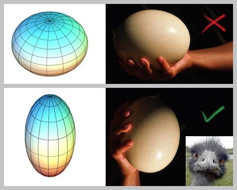 An oblate spheroid (top left), a prolate spheroid (bottom left), and an ostrich egg, which is a prolate spheroid however you hold it