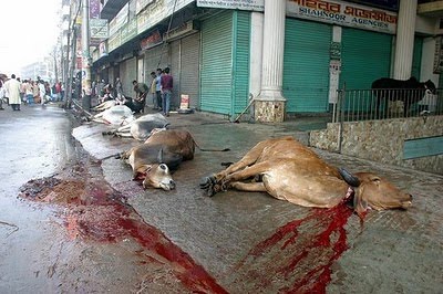 File:Animalsacrifice-pakistan.jpg