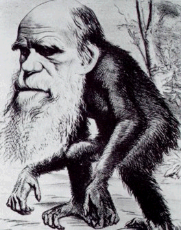 File:Darwin Evolution.gif