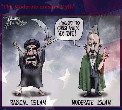 File:The myth of moderate islam.jpg