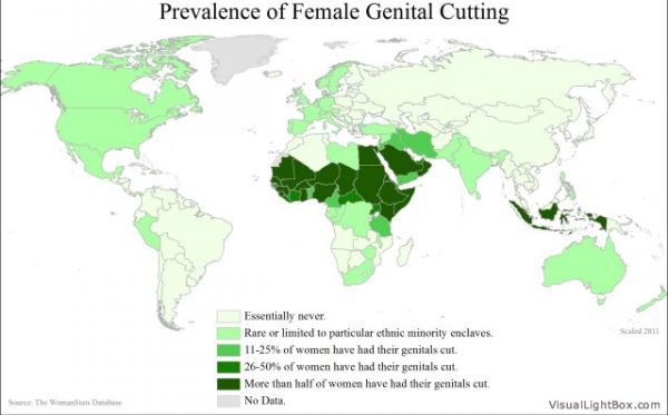 Female Genital Mutilation In Islamic Law Wikiislam