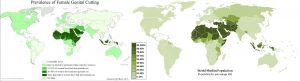 world maps comparing prevalence of FGM and of Muslims