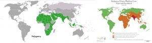 Maps comparing the global distributions of polygamy and of dowry systems