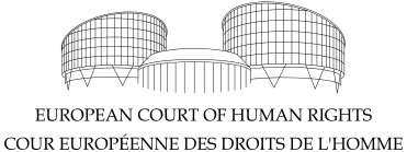 File:European Court of Human Rights logo.svg